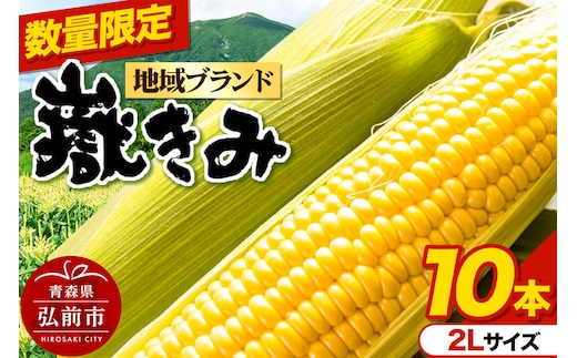 【26年8月中旬～クール便発送】とうもろこし【先行受付】嶽きみ（だけきみ）2Lサイズ 10本 青森県弘前市産 岩木山麓嶽高原産 [先行予約 おいしい コーン だけきみ とうもろこし ひろさき ブランド もろこし 弘前 青森 美味 野菜 嶽きみ]