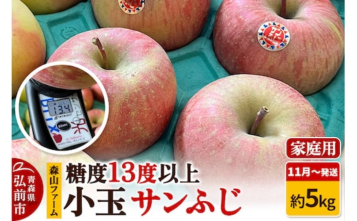 【26年11月～発送】りんご サンふじ【家庭用】約5kg 小玉 糖度13度以上 森山ファーム 先行受付 家庭用 青森県 弘前市 果物 フルーツ 林檎 リンゴ くだもの 不揃い 規格外 [先行予約 産地直送 アップル おいしい 果実 美味 甘い 赤色]
