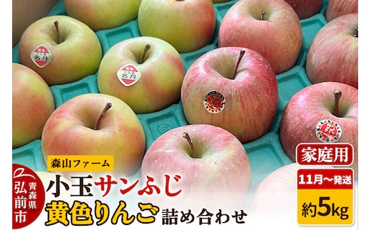 【26年11月～発送】りんご サンふじ＆黄色りんご【家庭用】約5kg 小玉 詰め合わせ 森山ファーム 先行受付 家庭用 青森県 弘前市 果物 フルーツ 林檎 リンゴ くだもの 不揃い 規格外 [先行予約 産地直送 アップル おいしい 果実 美味 甘い 赤色 黄色]