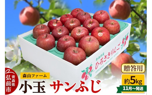 【26年11月～発送】りんご サンふじ【贈答用】約5kg 小玉 森山ファーム 先行受付 青森県 弘前市 果物 フルーツ 林檎 リンゴ くだもの ギフト 贈り物 [先行予約 産地直送 アップル おいしい 果実 美味 甘い 赤色]