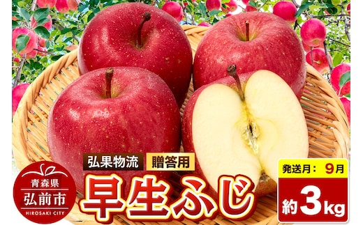 【26年9月発送】りんご 早生ふじ【贈答用】約3kg 青森県 弘前市 [早生ふじ りんご 贈り物 贈答用 お歳暮 お中元 ギフト 3キロ アップル おいしい 果実 果物 詰め合わせ セット 赤色 美味]