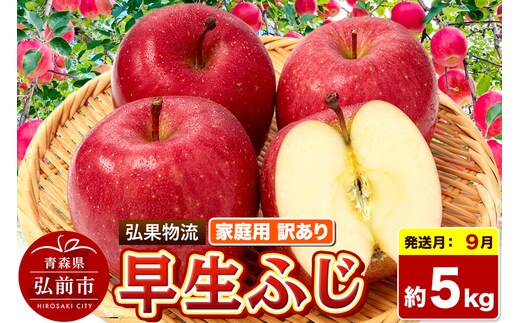 【26年9月発送】りんご 早生ふじ【訳あり】約5kg 家庭用 青森県 弘前市 [早生ふじ りんご 訳あり 家庭用 アップル おいしい 果実 果物 詰め合わせ 詰合 赤色 美味 林檎]