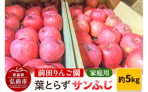 りんご 家庭用 葉とらず サンふじ 約 5kg (16～20玉程度) 前田りんご園 青森 果物 フルーツ 林檎 リンゴ くだもの 予約