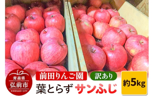 りんご 訳あり 葉とらず サンふじ 約 5kg (16～20玉程度) 前田りんご園 青森 果物 フルーツ 林檎 リンゴ くだもの 不揃い 規格外 予約