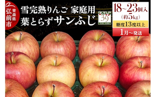 【27年1月～発送】りんご 葉とらず サンふじ【家庭用】約5kg（18～23個程度）糖度13度以上 雪完熟【数量限定】先行受付 青森県 弘前市 果物 フルーツ 林檎 リンゴ くだもの 不揃い 規格外 [先行予約 産地直送 アップル おいしい 果実 美味 甘い 赤色]