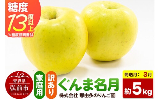 【27年3月クール便発送】りんご ぐんま名月【訳あり】約5kg 糖度13度以上（糖度証明書付）【先行受付】家庭用 青森県 弘前市 果物 フルーツ 林檎 リンゴ くだもの 不揃い 規格外 [先行予約 クール便 産地直送 家庭用 アップル おいしい 果実 美味 甘い 黄色]