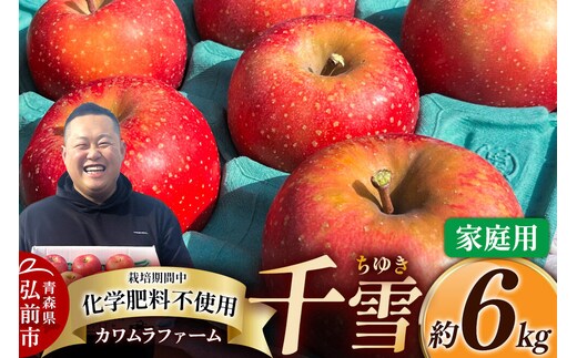 【26年10月下旬～発送】りんご 千雪 約6kg カワムラファーム【家庭用】青森 果物 フルーツ 林檎 リンゴ くだもの [先行受付 アップル おいしい ちゆき 果実 果物 赤色 美味 林檎 弘前市]