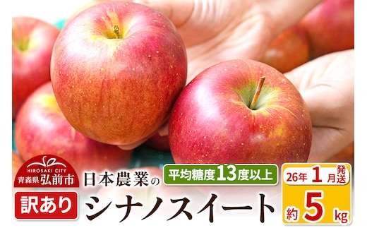 【26年1月発送】りんご 平均糖度13度以上！ シナノスイート 約5kg 訳あり 青森 果物 フルーツ 林檎 リンゴ くだもの 不揃い 規格外
