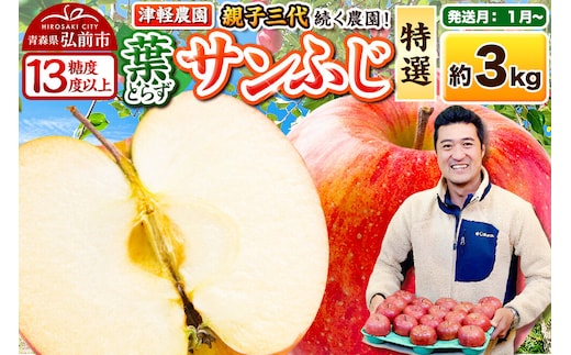 【27年1月～発送】りんご 葉とらずサンふじ【特選】約3kg 8～12玉程度【糖度13度以上】津軽農園 先行受付 青森県 弘前市 果物 フルーツ 林檎 リンゴ くだもの ギフト 贈り物 [先行予約 産地直送 アップル おいしい 果実 美味 甘い 赤色]