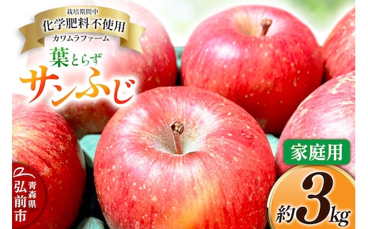 りんご 葉とらず サンふじ 約3kg カワムラファーム 家庭用 青森 果物 フルーツ 林檎 リンゴ くだもの