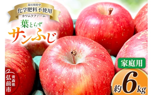 りんご 葉とらず サンふじ 約6kg カワムラファーム 家庭用 青森 果物 フルーツ 林檎 リンゴ くだもの