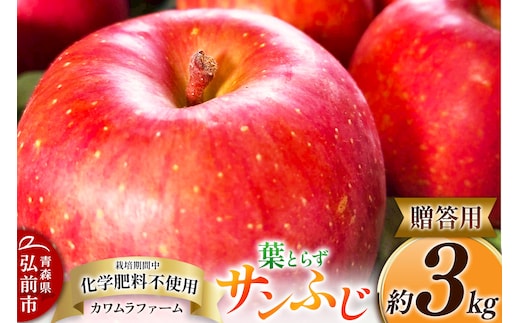りんご 葉とらず サンふじ 約3kg カワムラファーム 贈答用 青森 果物 フルーツ 林檎 リンゴ くだもの