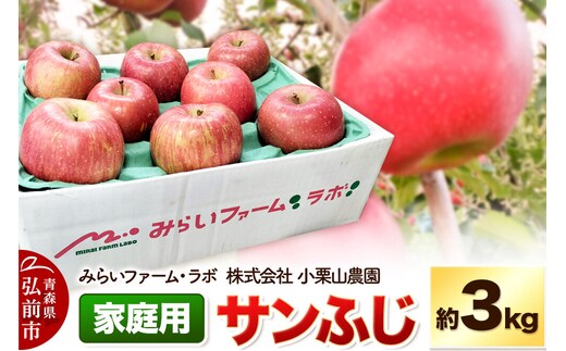 【26年12月発送】りんご【家庭用】サンふじ 約3kg 先行受付 [先行予約 アップル おいしい ふじ りんご 果実 果物 フルーツ 赤色 美味 林檎]