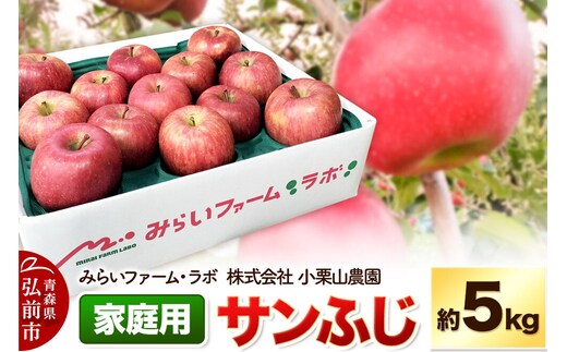 【26年12月発送】りんご【家庭用】サンふじ 約5kg 先行受付 [先行予約 アップル おいしい ふじ りんご 果実 果物 フルーツ 赤色 美味 林檎]