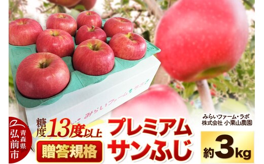 【26年12月発送】りんご 糖度13度以上【贈答規格】プレミアム サンふじ 約3kg 先行受付 [先行予約 アップル おいしい ふじ りんご 果実 果物 フルーツ 赤色 美味 林檎 贈答]