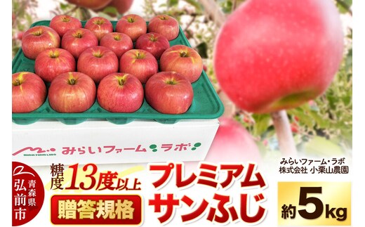 【26年12月発送】りんご 糖度13度以上【贈答規格】プレミアム サンふじ 約5kg 先行受付 [先行予約 アップル おいしい ふじ りんご 果実 果物 フルーツ 赤色 美味 林檎 贈答]