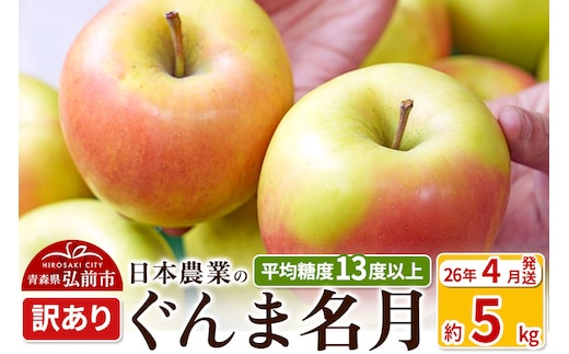 【26年4月発送】りんご 平均糖度13度以上！ ぐんま名月 約5kg 訳あり CA貯蔵 クール便 青森 果物 フルーツ 林檎 リンゴ くだもの 不揃い 規格外