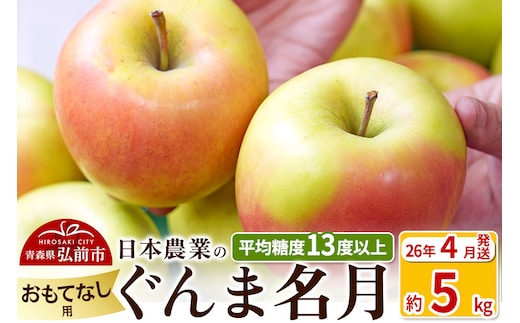 【26年4月発送】りんご 平均糖度13度以上！ ぐんま名月 約5kg おもてなし用 CA貯蔵 クール便 青森 果物 フルーツ 林檎 リンゴ くだもの