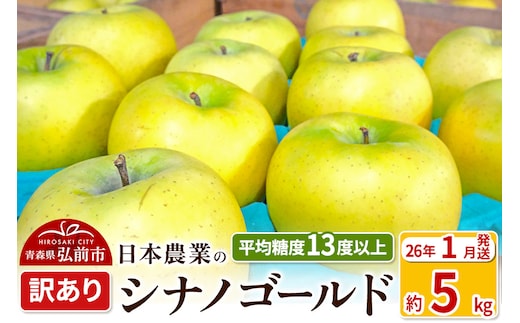 【26年1月発送】りんご 平均糖度13度以上！ シナノゴールド 約5kg 訳あり 青森 果物 フルーツ 林檎 リンゴ くだもの 不揃い 規格外