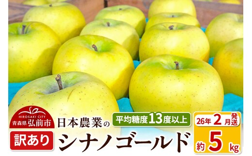 【26年2月発送】りんご 平均糖度13度以上！ シナノゴールド 約5kg 訳あり 青森 果物 フルーツ 林檎 リンゴ くだもの 不揃い 規格外