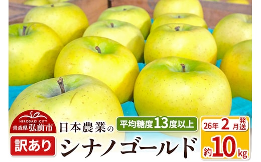 【26年2月発送】りんご 平均糖度13度以上！ シナノゴールド 約10kg 訳あり 青森 果物 フルーツ 林檎 リンゴ くだもの 不揃い 規格外