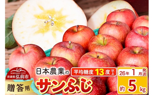 【26年1月発送】りんご 平均糖度13度以上！ サンふじ 約5kg 贈答用 青森 果物 フルーツ 林檎 リンゴ くだもの