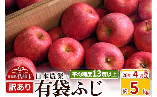 【26年4月発送】りんご 平均糖度13度以上！ 有袋ふじ 約5kg 訳あり CA貯蔵 クール便 青森 果物 フルーツ 林檎 リンゴ くだもの 不揃い 規格外