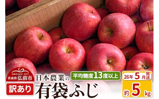 【26年5月発送】りんご 平均糖度13度以上！ 有袋ふじ 約5kg 訳あり CA貯蔵 クール便 青森 果物 フルーツ 林檎 リンゴ くだもの 不揃い 規格外