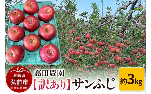 りんご【訳あり】サンふじ 約3kg 弘前市産 青森りんご
