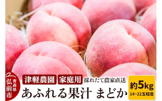 【26年8月発送】もも【2026年産 あふれる果汁 まどか】家庭用 約5kg 14～22玉程度 津軽農園 採れたて 農家直送