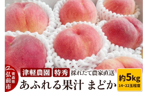 【26年8月発送】もも【2026年産 あふれる果汁 まどか】特秀 約5kg 14～22玉程度 津軽農園 採れたて 農家直送