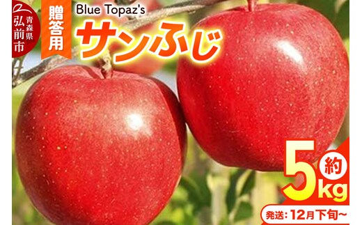 【26年12月下旬～発送】りんご サンふじ【贈答用】約5kg 内のし付き 青森県 弘前市 [先行予約 アップル おいしい ふじ りんご 果実 果物 赤色 津軽 糖度 美味 林檎]
