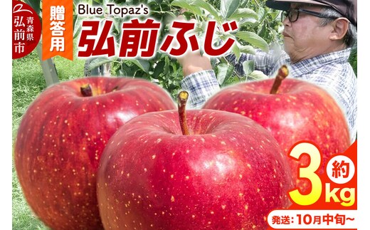 【26年10月中旬～発送】りんご 弘前ふじ【贈答用】約3kg 内のし付き 青森県 弘前市 [先行予約 アップル おいしい ふじ りんご 果実 果物 赤色 津軽 糖度 美味 林檎]