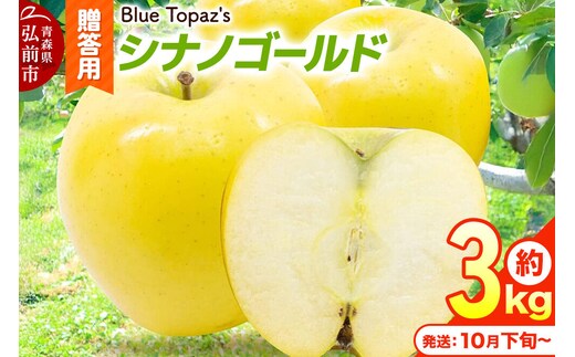 【26年10月下旬～発送】りんご シナノゴールド【贈答用】約3kg 内のし付き 青森県 弘前市 [先行予約 アップル おいしい ふじ りんご 果実 果物 黄色 津軽 糖度 美味 林檎]