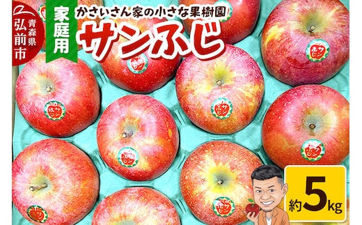 【26年11月下旬～発送】りんご サンふじ 約5kg【家庭用】林檎 リンゴ 果物 くだもの フルーツ 青森 [アップル おいしい 果実 果物 赤色 美味]