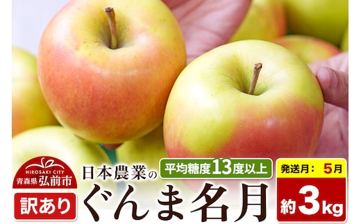 【27年5月クール便発送】りんご ぐんま名月【訳あり】約3kg 平均糖度13度以上【CA貯蔵】青森県 弘前市 果物 フルーツ 林檎 リンゴ くだもの 不揃い 規格外 先行受付 [先行受付 家庭用 産地直送 アップル 青森県 弘前市]