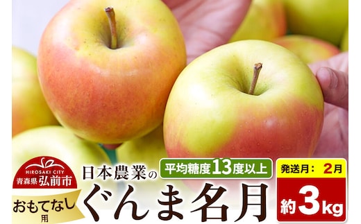 【27年2月発送】りんご ぐんま名月【おもてなし用】約3kg 平均糖度13度以上 青森県 弘前市 果物 フルーツ 林檎 リンゴ くだもの 先行受付 [先行受付 産地直送 アップル 青森県 弘前市]