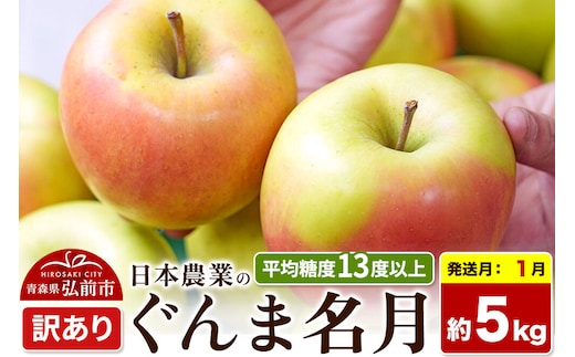 【27年1月発送】りんご ぐんま名月【訳あり】約5kg 平均糖度13度以上 青森県 弘前市 果物 フルーツ 林檎 リンゴ くだもの 不揃い 規格外 先行受付 [先行受付 家庭用 産地直送 アップル 青森県 弘前市]