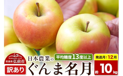 【26年12月発送】りんご ぐんま名月【訳あり】約10kg 平均糖度13度以上 青森県 弘前市 果物 フルーツ 林檎 リンゴ くだもの 不揃い 規格外 先行受付 [先行受付 家庭用 産地直送 アップル 青森県 弘前市]