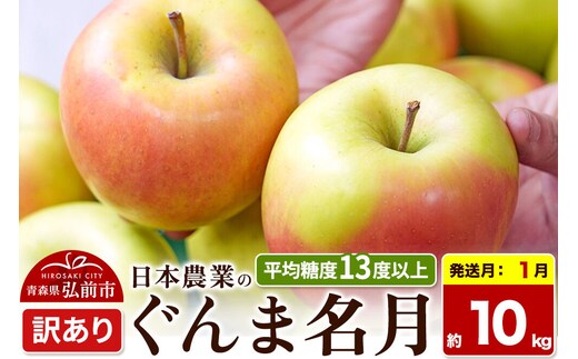 【27年1月発送】りんご ぐんま名月【訳あり】約10kg 平均糖度13度以上 青森県 弘前市 果物 フルーツ 林檎 リンゴ くだもの 不揃い 規格外 先行受付 [先行受付 家庭用 産地直送 アップル 青森県 弘前市]