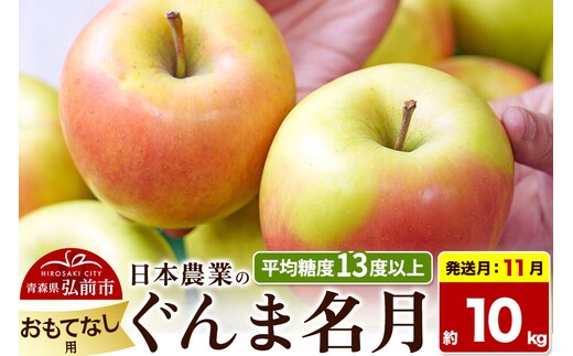 【26年11月発送】りんご ぐんま名月【おもてなし用】約10kg 平均糖度13度以上 青森県 弘前市 果物 フルーツ 林檎 リンゴ くだもの 先行受付 [先行受付 産地直送 アップル 青森県 弘前市]