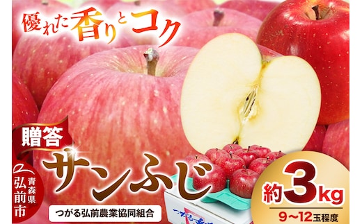 【26年2月発送】りんご 贈答規格 サンふじ 約 3kg（9～12玉程度）