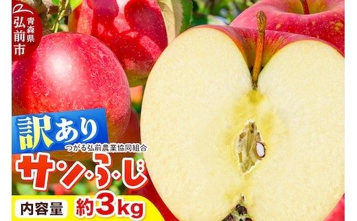 【26年1月～発送】りんご 家庭用【訳あり】サンふじ 約3kg（9～12玉程度）