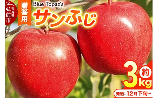 【26年12月下旬～発送】りんご サンふじ【贈答用】約3kg 内のし付き 先行受付 青森県 弘前市 [先行予約 アップル おいしい ふじ りんご 果実 果物 赤色 津軽 糖度 美味 林檎]