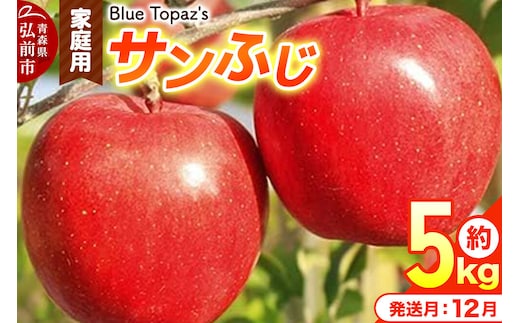 【26年12月発送】りんご サンふじ【家庭用】約5kg 先行受付 青森県 弘前市 [先行予約 アップル おいしい ふじ りんご 果実 果物 赤色 津軽 糖度 美味 林檎]