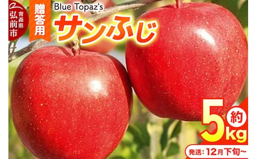 【26年12月下旬～発送】りんご サンふじ【贈答用】約5kg 内のし付き 先行受付 青森県 弘前市 [先行予約 アップル おいしい ふじ りんご 果実 果物 赤色 津軽 糖度 美味 林檎]