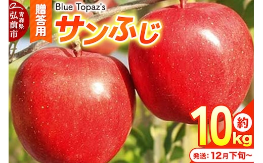 【26年12月下旬～発送】りんご サンふじ【贈答用】約10kg 内のし付き 先行受付 青森県 弘前市 [先行予約 クール便 アップル おいしい ふじ りんご 果実 果物 赤色 津軽 糖度 美味 林檎]