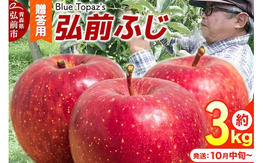 【26年10月中旬～発送】りんご 弘前ふじ【贈答用】約3kg 内のし付き 青森県 弘前市 [アップル おいしい ふじ りんご 果実 果物 赤色 津軽 糖度 美味 林檎]