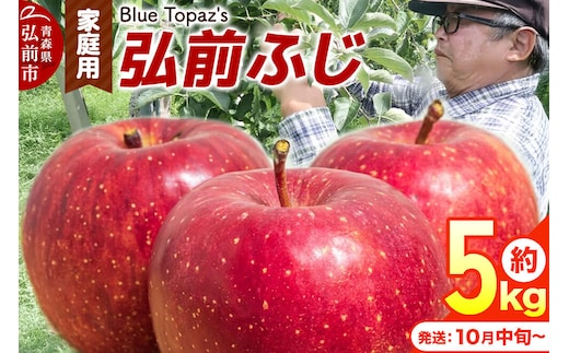 【26年10月中旬～発送】りんご 弘前ふじ【家庭用】約5kg 青森県 弘前市 [アップル おいしい ふじ りんご 果実 果物 赤色 津軽 糖度 美味 林檎]