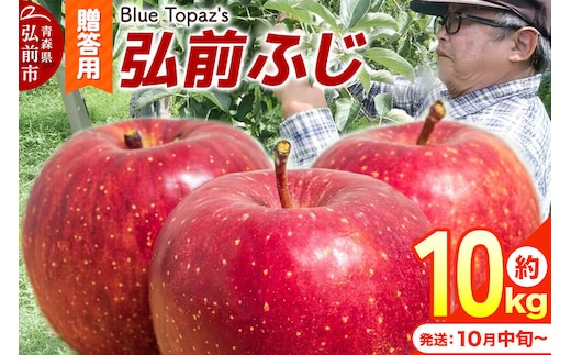 【26年10月中旬～発送】りんご 弘前ふじ【贈答用】約10kg 内のし付き 青森県 弘前市 [アップル おいしい ふじ りんご 果実 果物 赤色 津軽 糖度 美味 林檎]